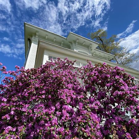 Bloom Farm Guesthouse Mount Vision Экстерьер фото